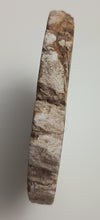 Load image into Gallery viewer, Petrified Wood