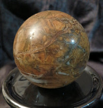 Load image into Gallery viewer, Petrified Wood Sphere