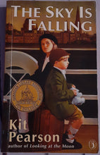 Load image into Gallery viewer, The Sky is Falling