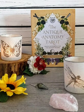 Load image into Gallery viewer, The Antique Anatomy Tarot