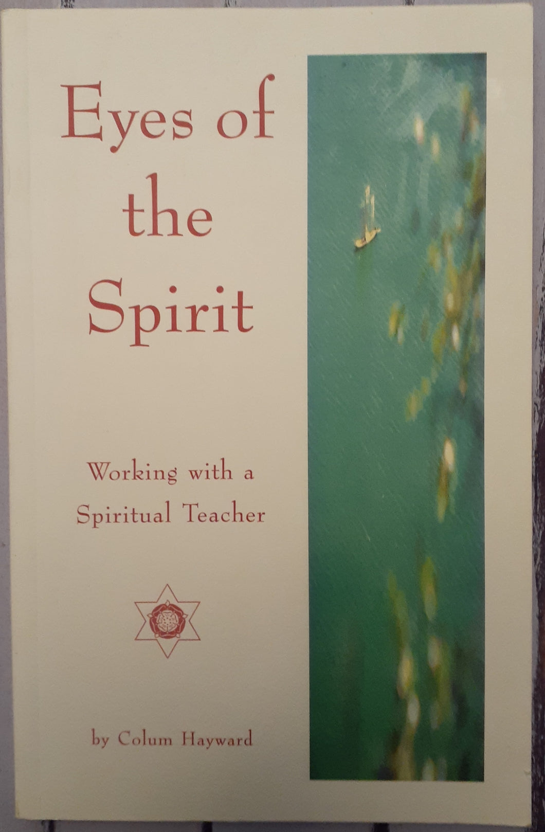 Eyes of the Spirit: Working with a Spiritual Teacher