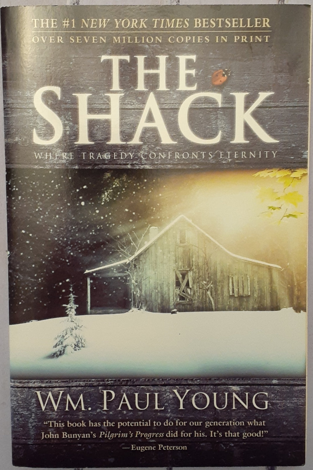 The Shack: Where Tragedy Confronts Eternity