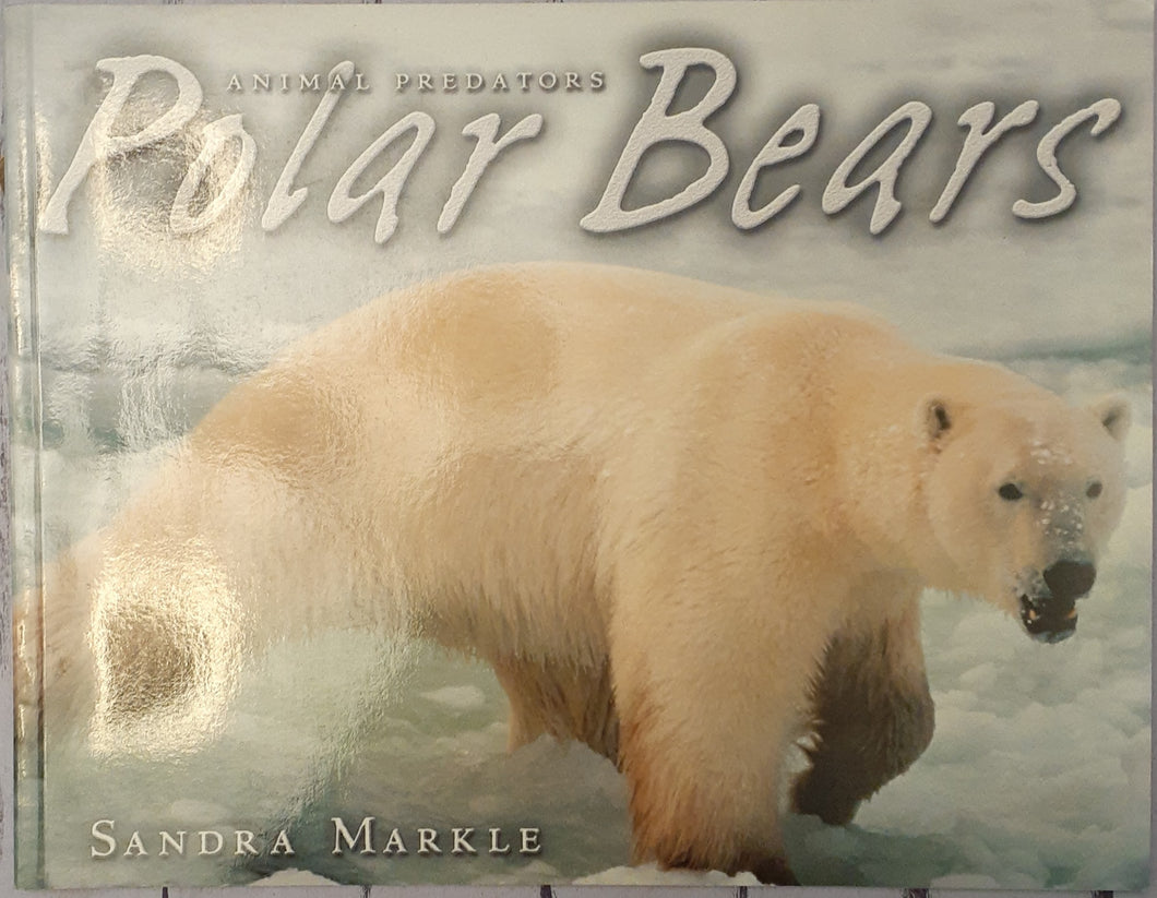 Animal Predators - Polar Bears
