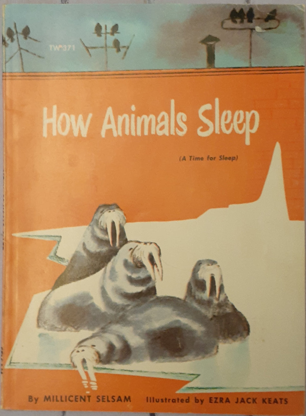 How Animals Sleep