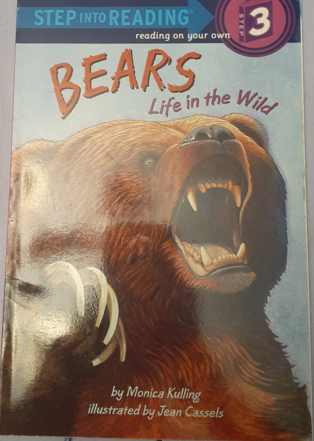 Bears - Life in the Wild