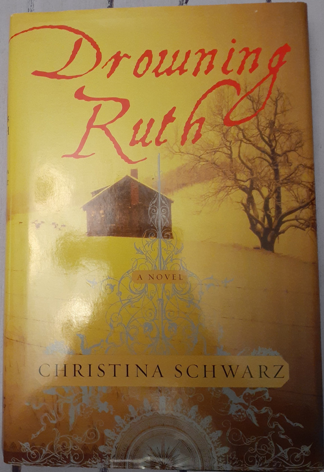 Drowning Ruth: A Novel