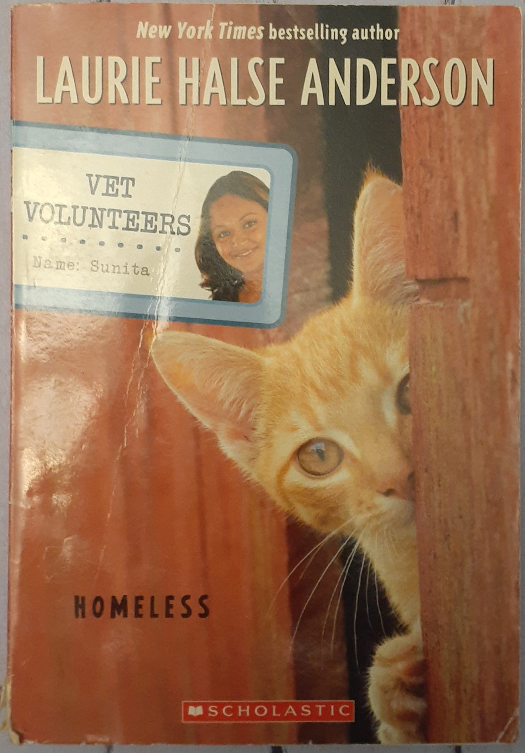 Vet Volunteers - Homeless