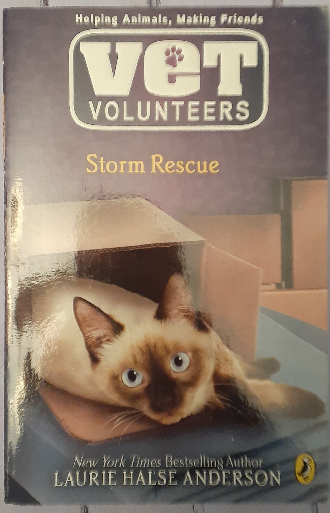 Vet Volunteers - Storm Rescue