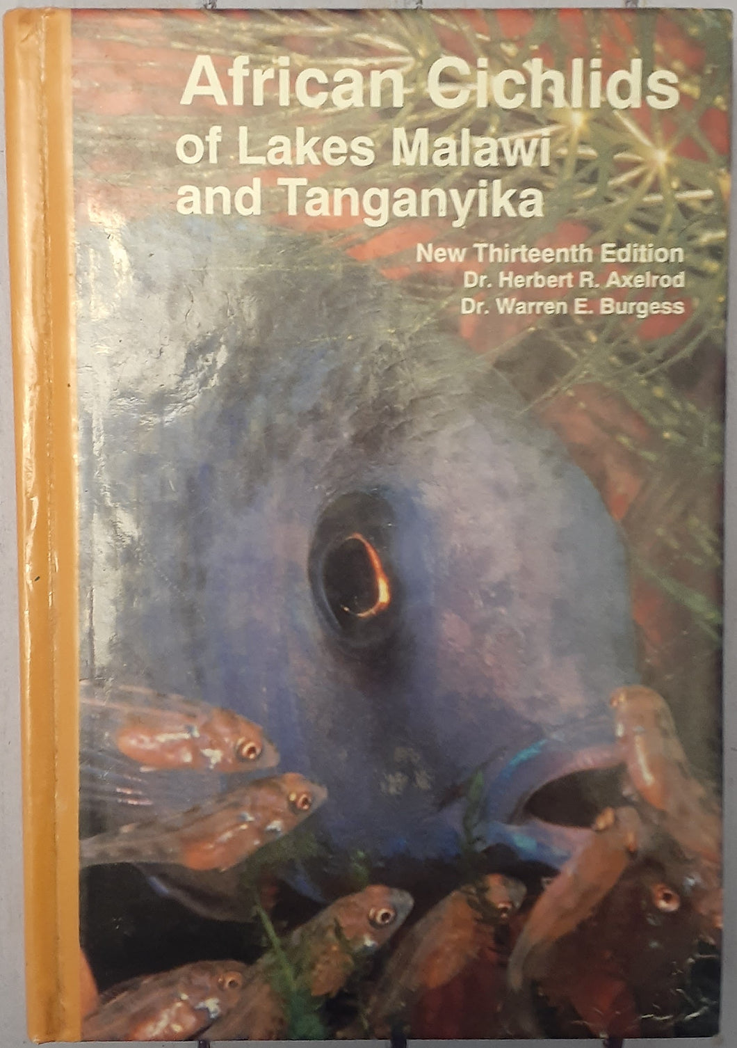 African Cichlids of Lakes Malawi and Tanganyika