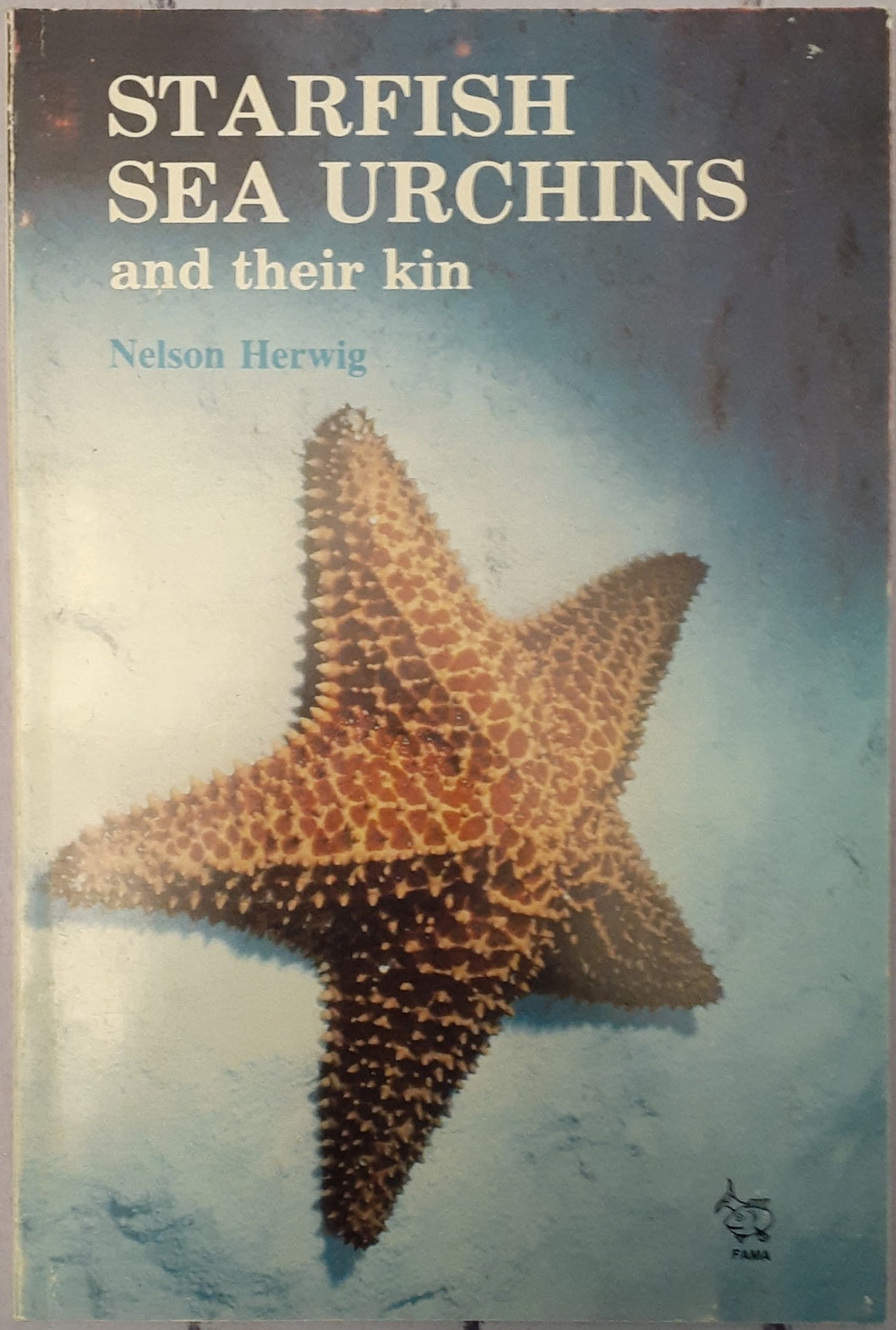 Starfish Sea Urchins and their Kin