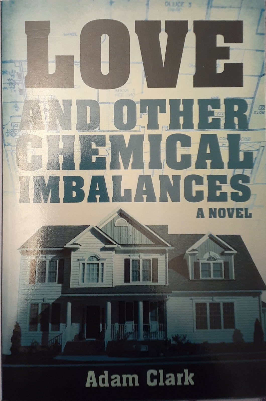 Love and Other Chemical Imbalances - A Novel