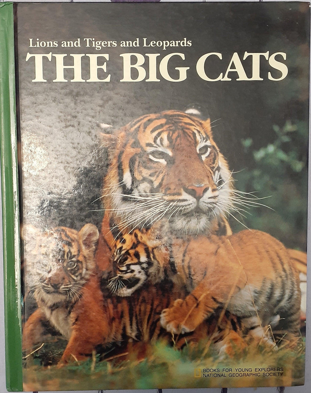The Big Cats