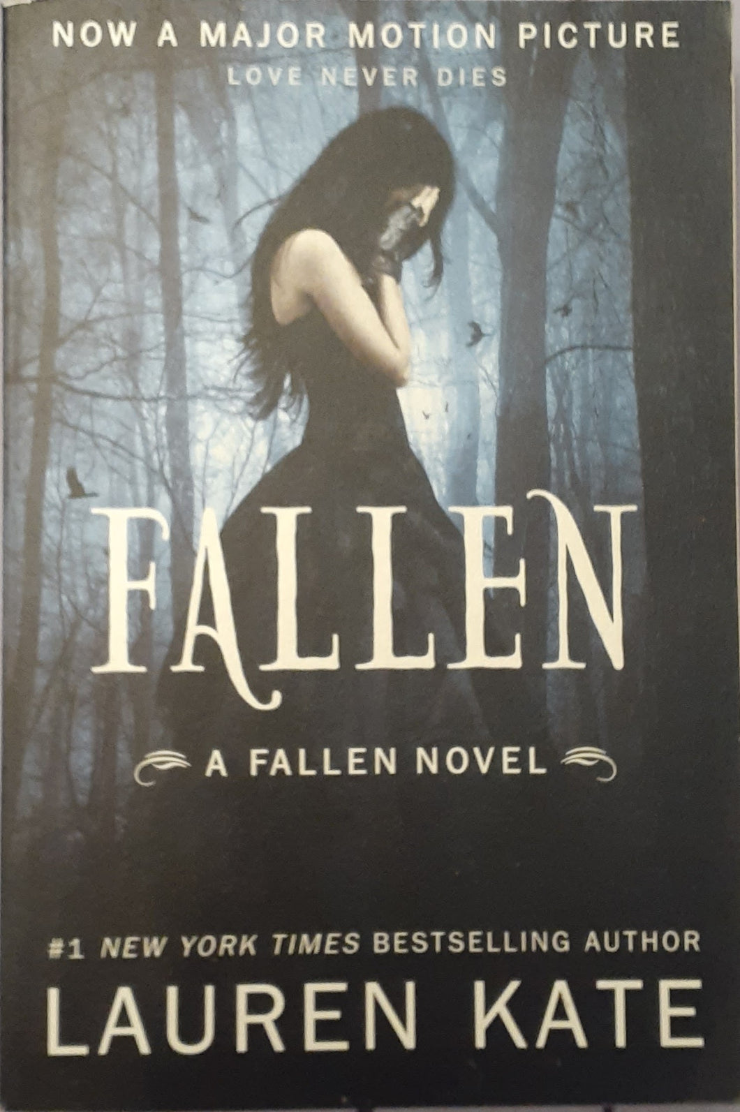 Fallen: A Fallen Novel
