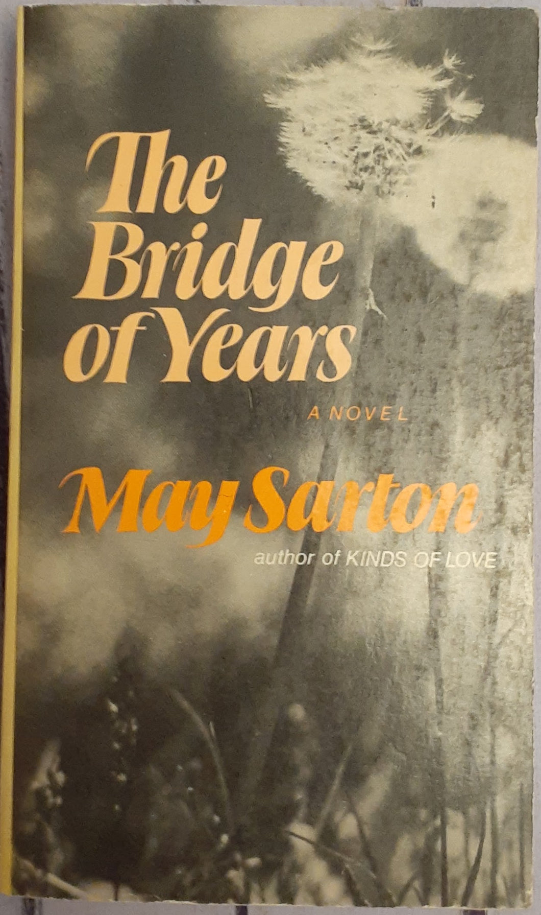 The Bridge of Years: A Novel