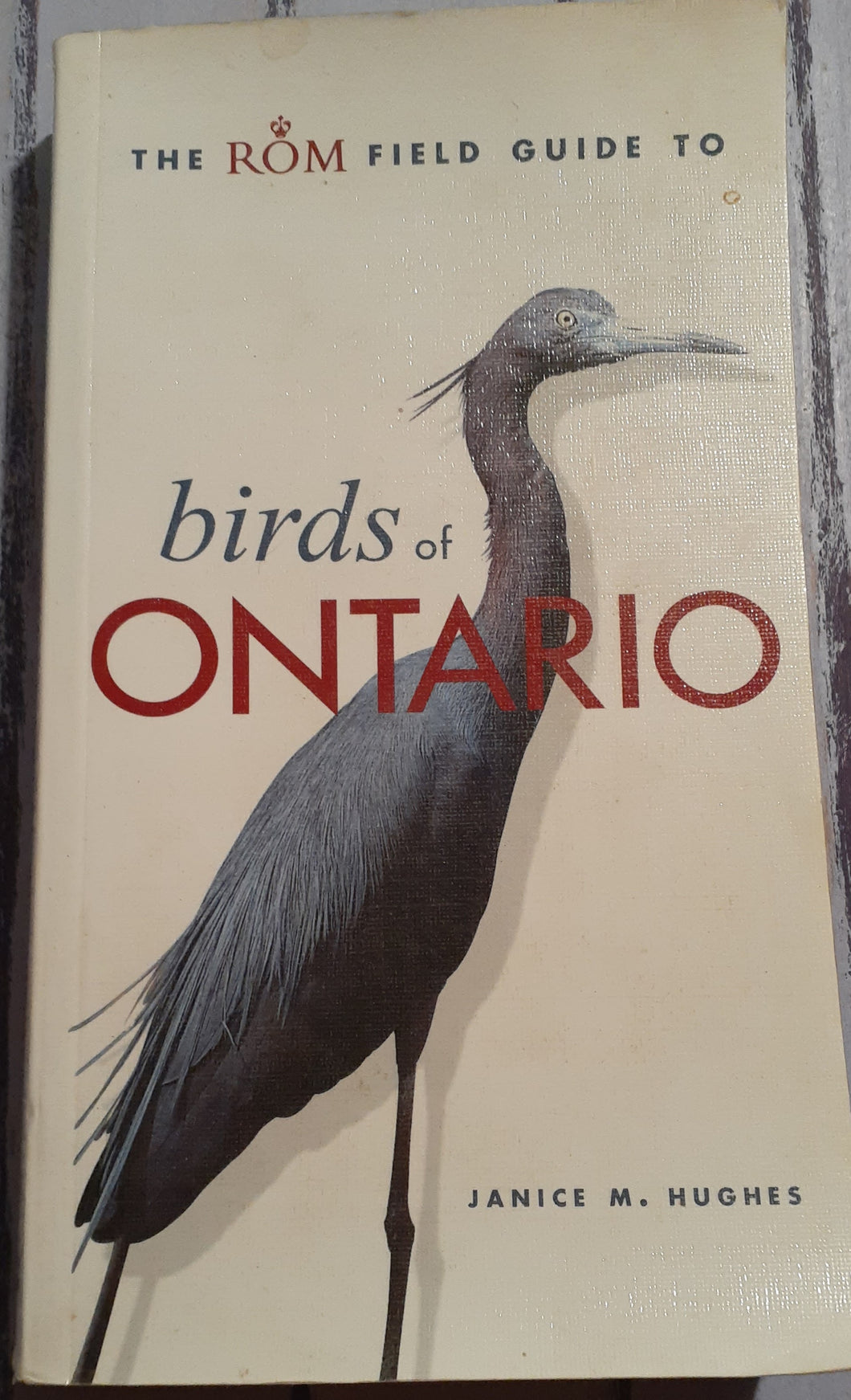 Birds of Ontario