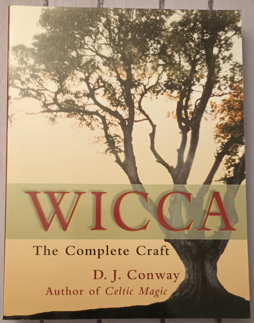 Wicca: The Complete Craft