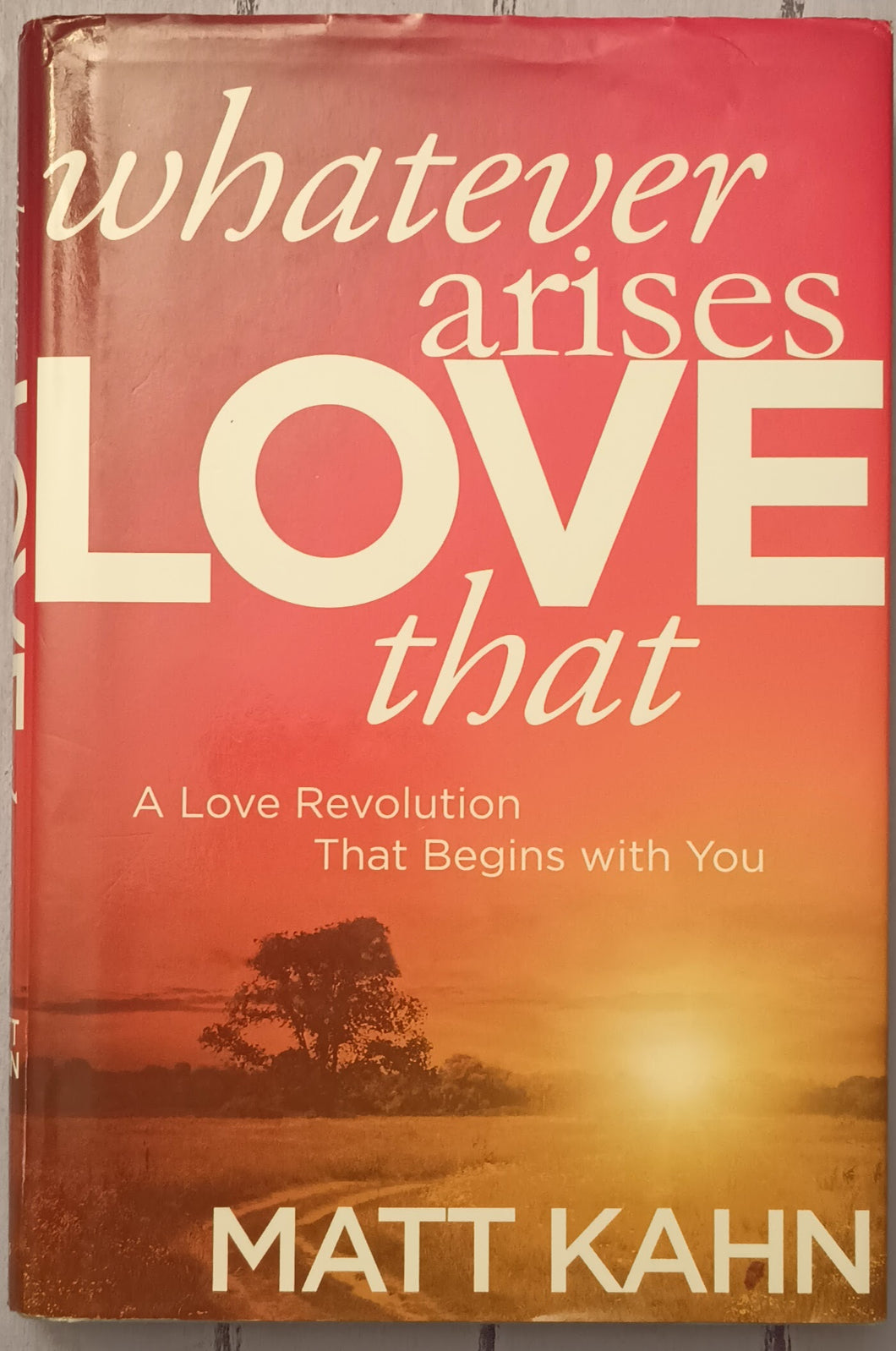 Whatever Arises, Love That: A Love Revolution That Begins with You