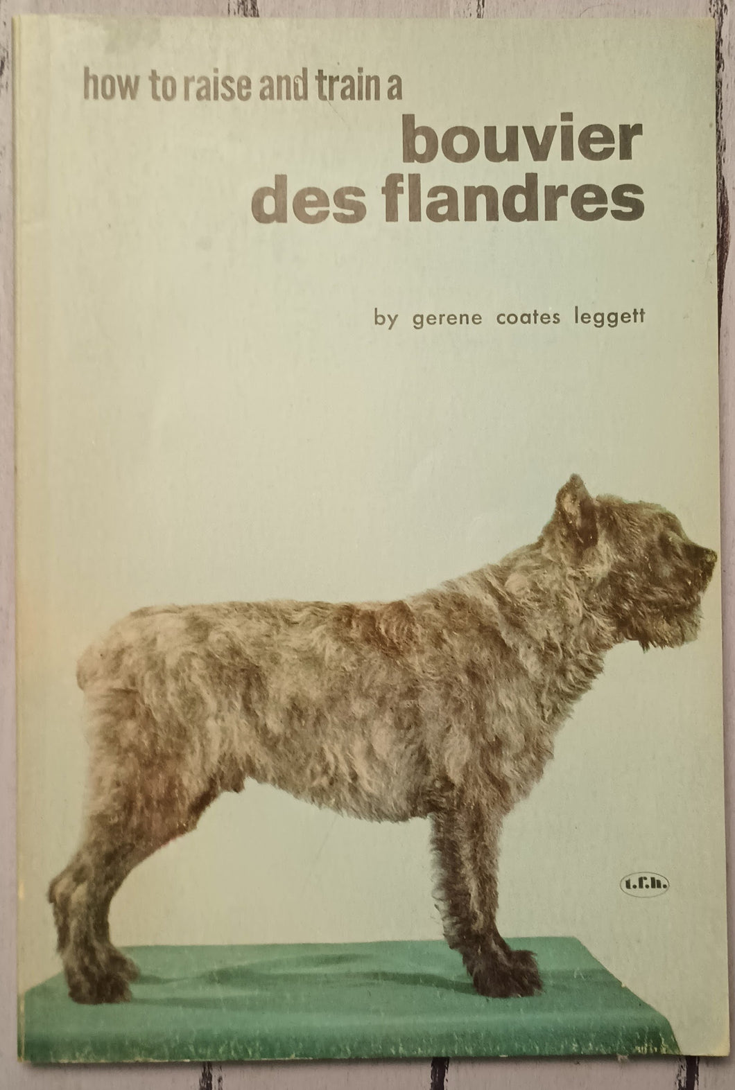 How to Raise and Train a Bouvier Des Flandres