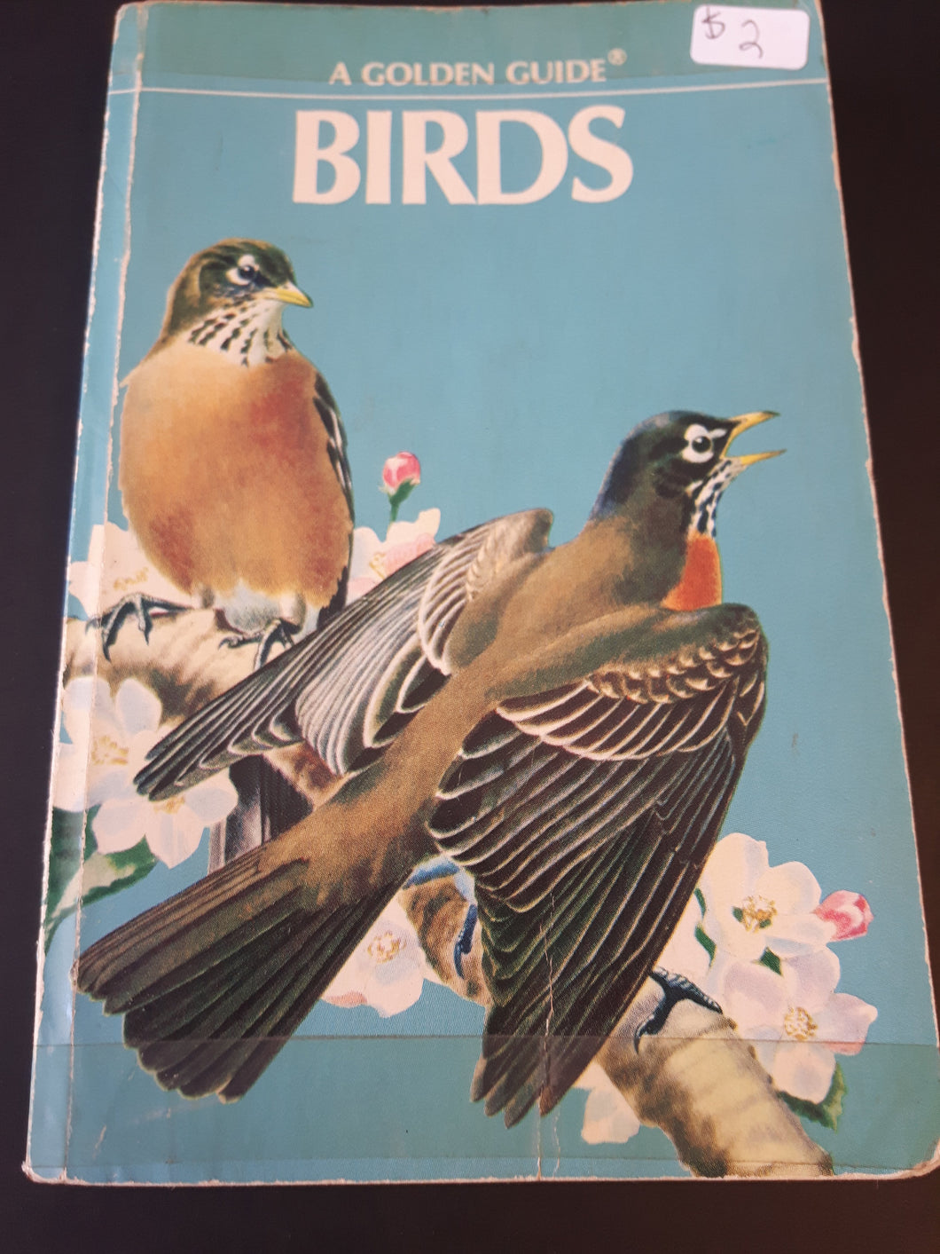 A Golden Guide - Birds