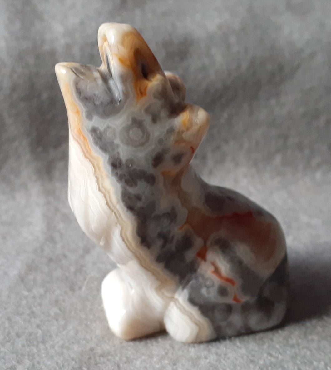 Crazy Lace Agate Wolf