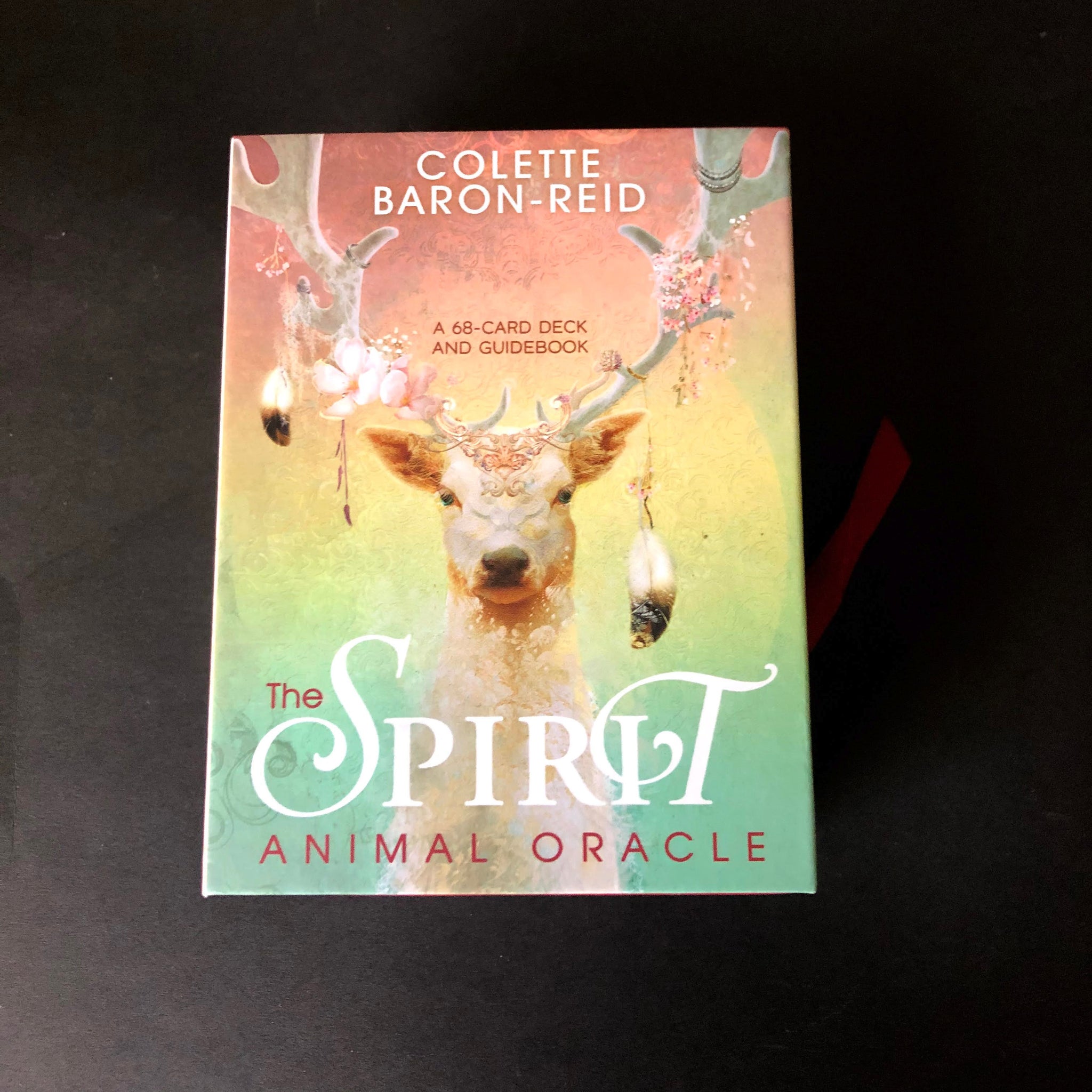 沸騰ブラドン Purple The Door Deck Oracle Animal Spirit – Cambridge その他
