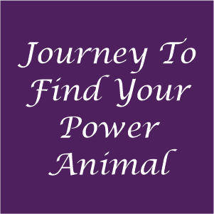 Journey To Find Your Power Animal