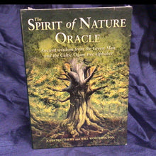 Load image into Gallery viewer, The Spirit of Nature Oracle: Ancient Wisdom from the Green Man and the Celtic Ogam Tree Alphabet
